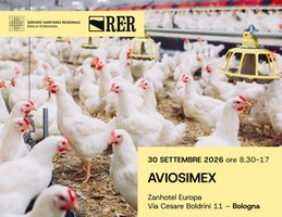 AVIOSIMEX. Simulazione della gestione di un focolaio di influenza aviaria in un allevamento