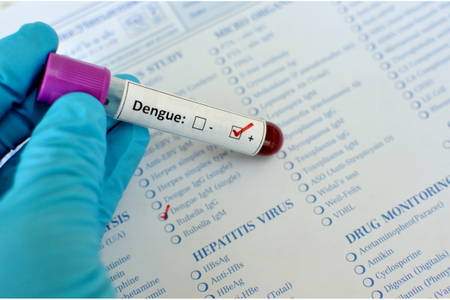 Zanzara Aedes e la diffusione della dengue