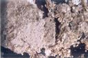 materiali friabili 4 - frammenti di intonaco