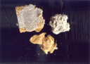materiali friabili 5 - frammenti di controsoffitto