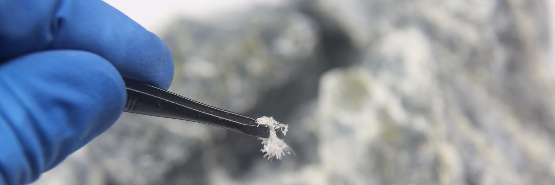 banner testata