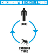 chikungunya