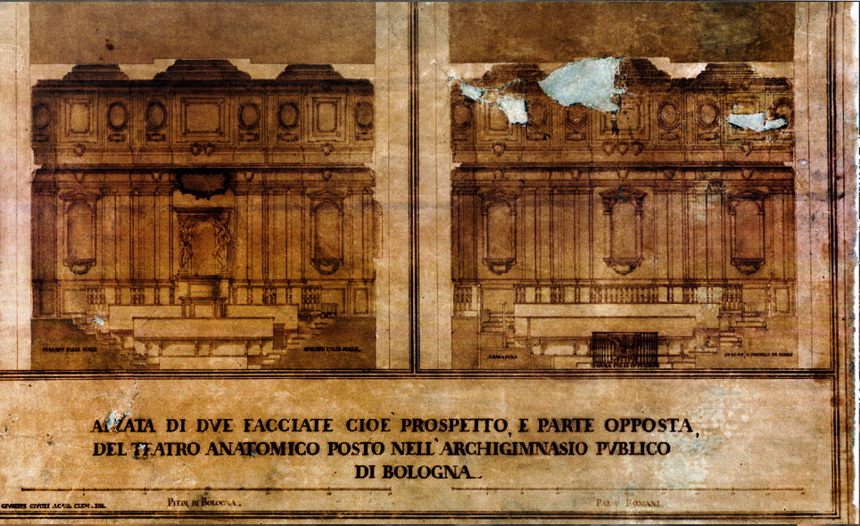 Giuseppe Civoli, Prospetto e soffitto del teatro anatomico di Bologna, Archivio di Stato di Bologna