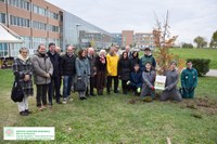 "Il giardino dei donatori": All'Ospedale di Cona uno spazio verde organizzato dall'AVIS per ricordare il meraviglioso gesto