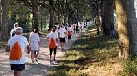 Il 15 maggio alla Polivalente Il Torrazzo di Modena si svolge il workshop dedicato alle guide dei gruppi di cammino che hanno partecipato ai corsi gratuiti organizzati da Ausl Modena