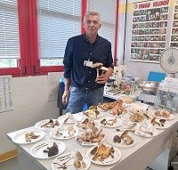 Riparte la stagione dei funghi Occhio al ‘fai da te’, il controllo è gratuito, attenzione agli esemplari tossici e alterati