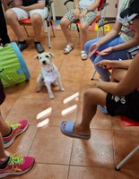 Fidenza, al via la pet therapy in tre servizi per l’infanzia dell’Azienda Usl