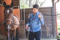 Pet therapy con il cavallo per i pazienti oncologici: il progetto ISACCO procede spedito