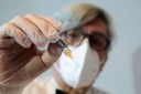 Coronavirus, a Bologna si vaccina anche di sera, fino alle 22