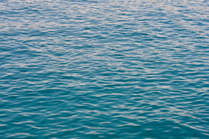 Mare Adriatico, nel 2023 l’88,7% delle acque dell’Emilia-Romagna ‘eccellenti’