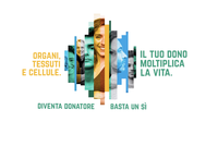 Trapianti, dopo un 2023 da record, in Emilia-Romagna dati positivi anche per i primi 8 mesi 2024