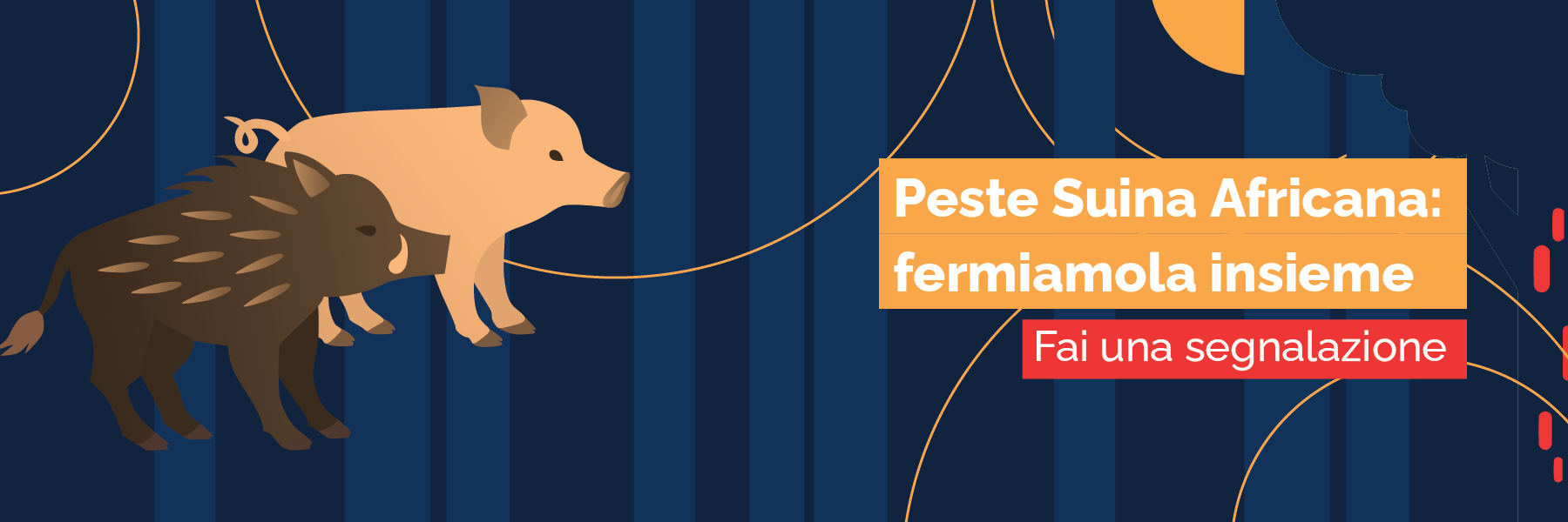 banner testata banner testata